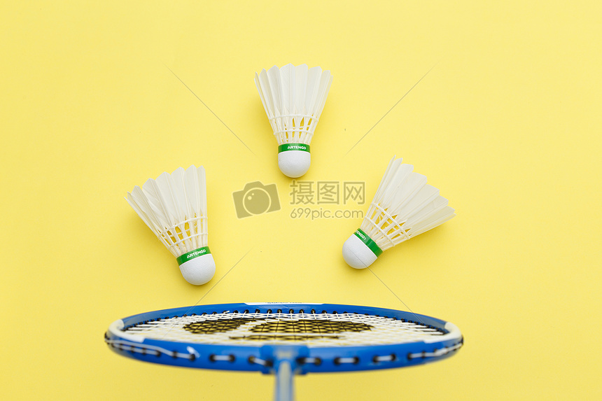 项运动中 项运动中