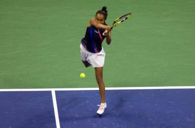 金牌收入囊 金牌收入囊