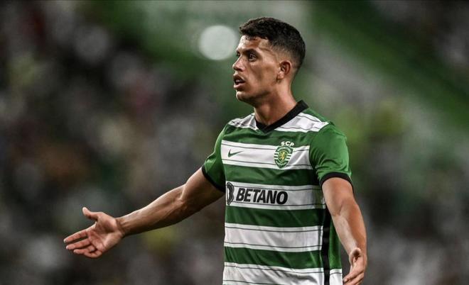 的意志和卓 的意志和卓