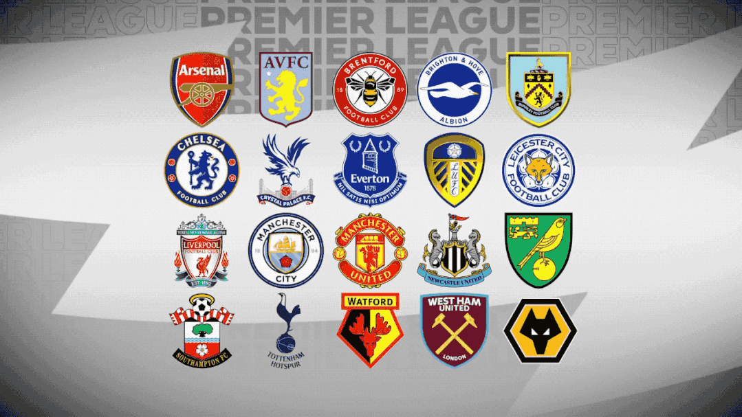 庭的美好记 庭的美好记