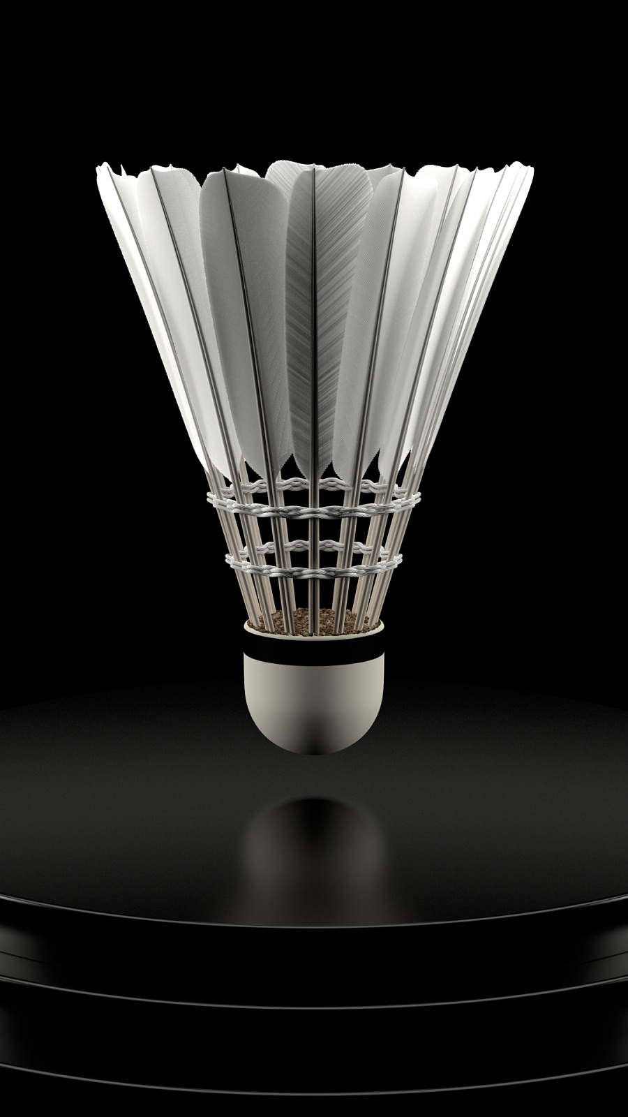 我们需要了 我们需要了